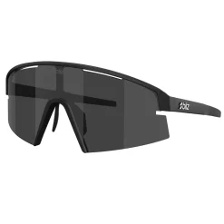 P006S Sunglasses