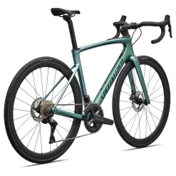 Roubaix Expert Road Bike 2026