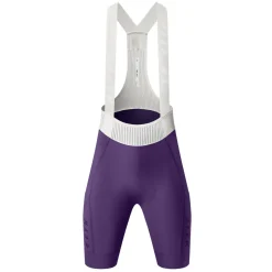 Team Evo Women's Cycling Bib Short