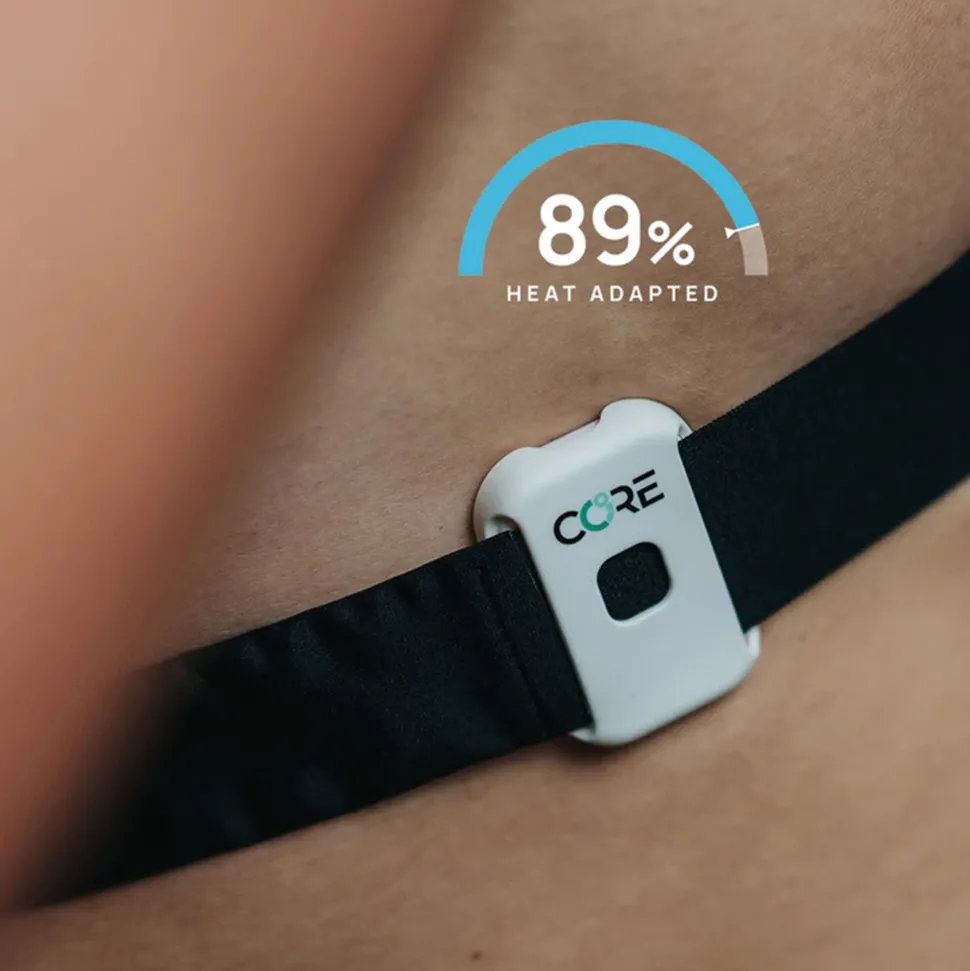 2 Thermal Sensor for Body Temperature Monitoring